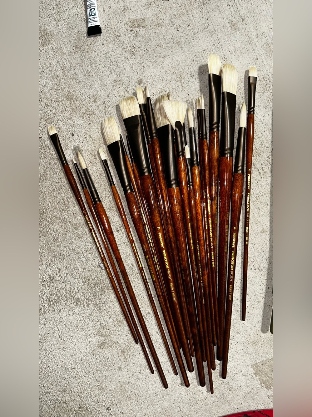 Princeton oil/acrylic paint brushes